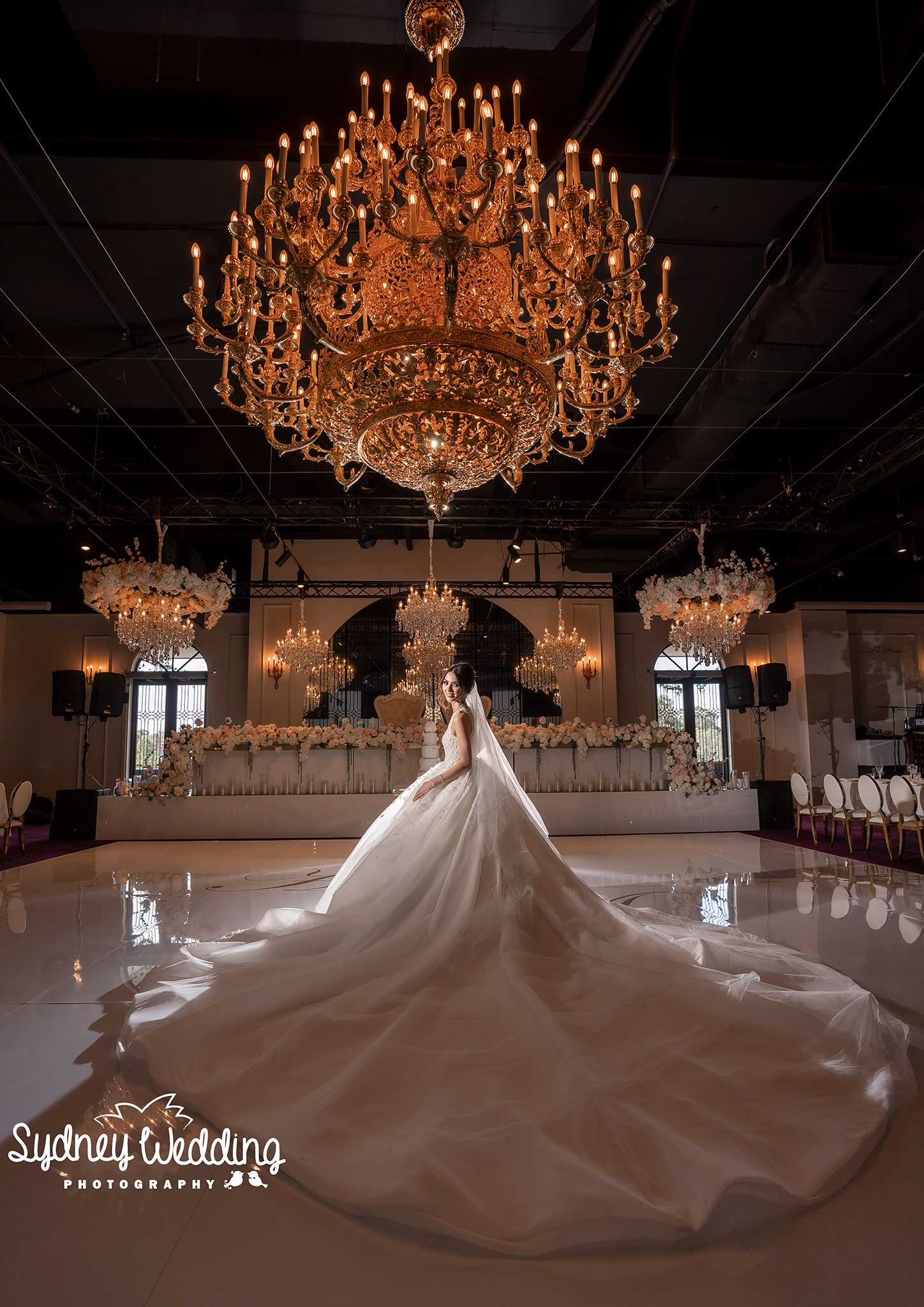 Bridal portrait wedding reception